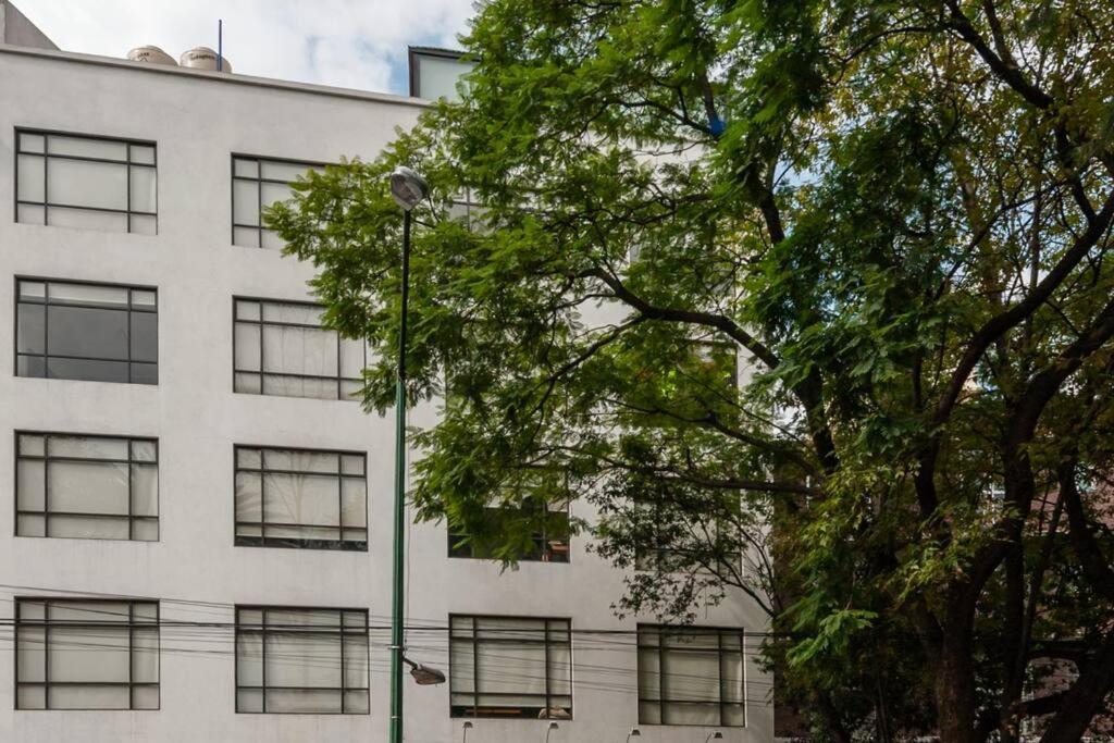 Mexico City Mondomexico Deluxe 2 Bedroom Apartments エクステリア 写真