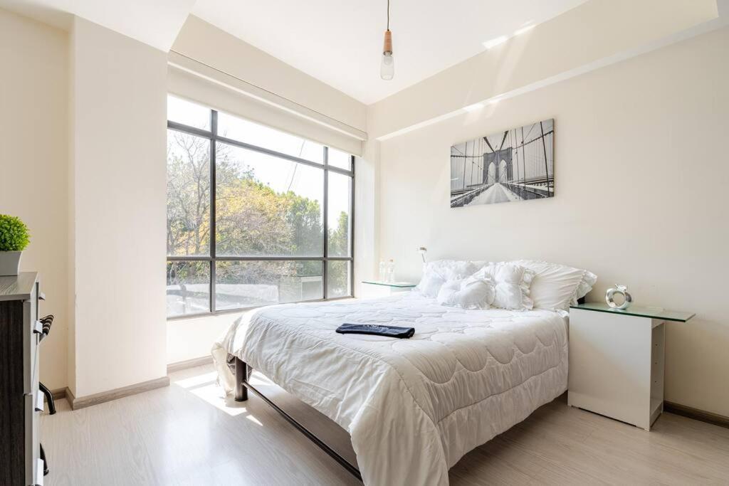 Mexico City Mondomexico Deluxe 2 Bedroom Apartments エクステリア 写真