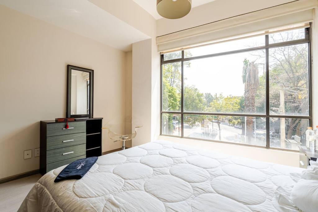 Mexico City Mondomexico Deluxe 2 Bedroom Apartments エクステリア 写真